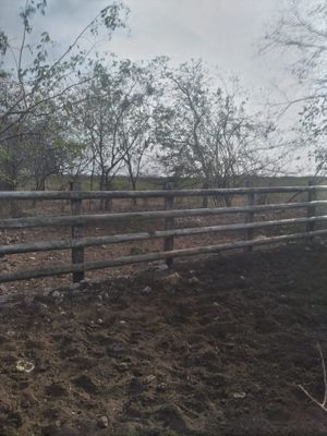 Rancho cerca de Merida Yucatan propiedad privada