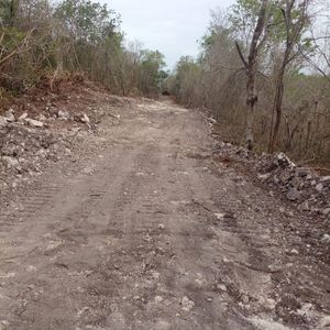 Terreno 122 hectáreas propiedad privada cerca de Valladolid Yucatan