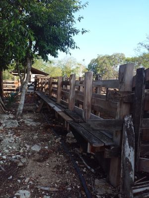Rancho cerca de Merida en Sucila Yucatan 45 hectareas
