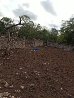 Rancho cerca de Merida en Sucila Yucatan 39 hectareas