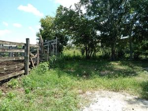 RANCHO EN BUCTZOTZ 49 HECTAREAS CERCA DE MERIDA