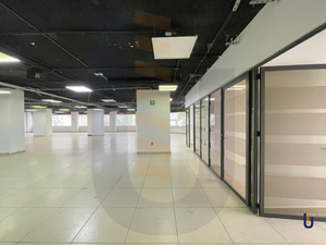 Oficina en renta - 600 m2 - Nápoles