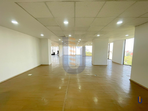 Oficina en renta - 330 m2 - Insurgentes Sur