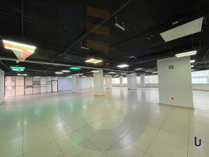 Oficina en renta - 600 m2 - Nápoles