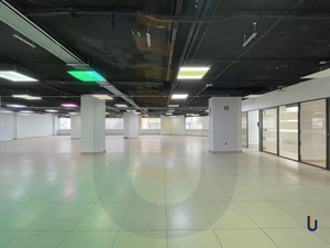 Oficina en renta - 600 m2 - Nápoles