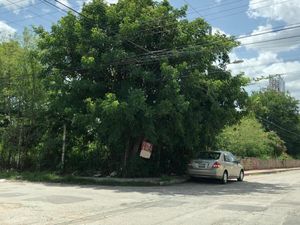 TERRENO EN VENTA EN ESQUINA COLONIA MAYA