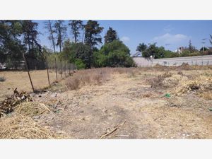 Terreno en Venta en San Mateo Xoloc Tepotzotlán