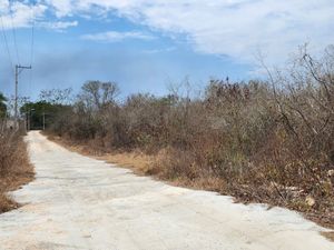 3 TERRENOS EN VENTA EN TIXCUYTÚN, YUCATÁN