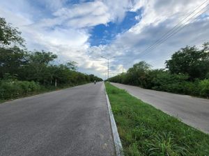 LOTE EN VENTA EN TIXCUYTÚN