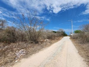 3 TERRENOS EN VENTA EN TIXCUYTÚN, YUCATÁN