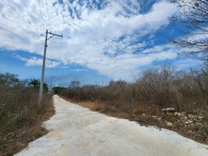 3 TERRENOS EN VENTA EN TIXCUYTÚN, YUCATÁN