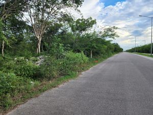 LOTE EN VENTA EN TIXCUYTÚN