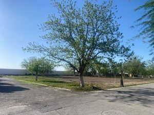 Terreno en Venta en San Armando Torreón