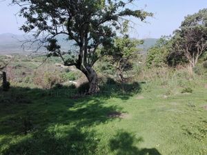 Terreno en venta en Tepoztlan