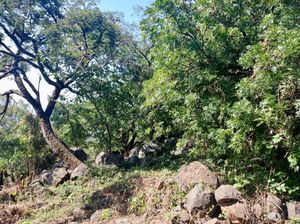 Terreno en venta en Tepoztlán