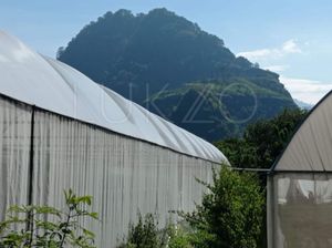 Terreno en venta en Tepoztlan