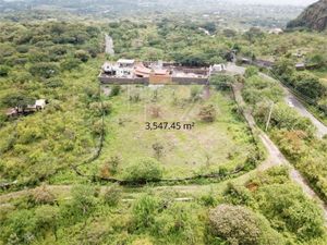 Terreno en venta en Tepoztlan