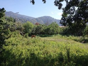 Terreno en venta en Tepoztlan