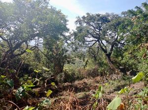 Terreno en venta en Tepoztlán