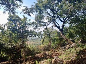 Terreno en venta en Tepoztlán