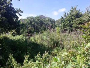 Terreno en venta en Tepoztlan