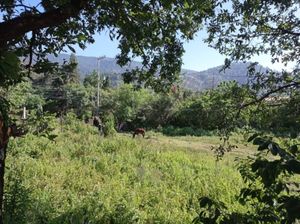 Terreno en venta en Tepoztlan