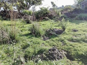 Terreno en venta en Tepoztlan