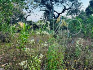 Terreno en venta en Tepoztlan