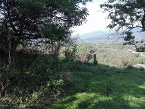 Terreno en venta en Tepoztlan