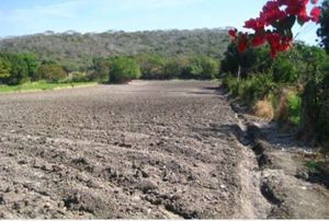 Terreno en venta en Yautepec