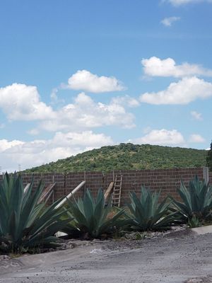 VENTA DE TERRENOS  CAMPESTRE EN HUIMILPAN ESCRITURADOS