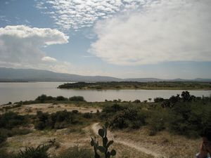 VENTA DE RANCHO EN SAN MIGUEL DE ALLENDE DE 28 HECTAREAS JUNTO A LA PRESA