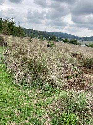 Espectacular terreno en Valle de Lago Tapalpa