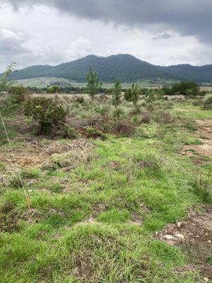 Espectacular terreno en Valle de Lago Tapalpa