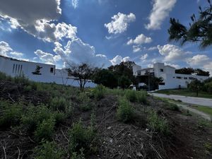 Terreno En Esquina Totalmente Plano De 640 M2 En El Fraccionamiento El Palomar.