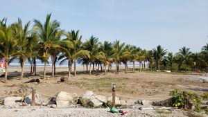 Tu casa frente a la playa en Bahía de Matanchén, San Blas. Alta Plusvalía.