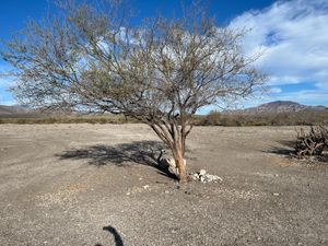 SE VENDE TERRENO EN LORETO BCS