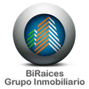 Grupo BiRaices