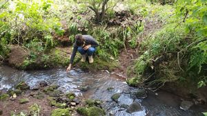 HERMOSO TERRENO EN AMEALCO