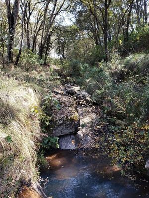 HERMOSO TERRENO EN AMEALCO