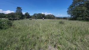 HERMOSO TERRENO EN AMEALCO