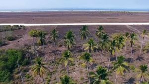 Terreno Agua Dulce San Marcos Guerrero