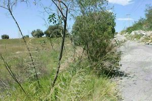 Terreno en venta en San Luis Huexotla, Texcoco