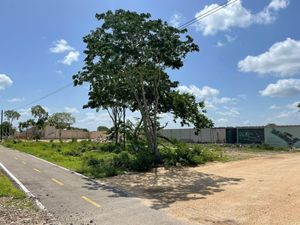 IF4624 VENTA DE TERRENO EN XCUNYA, MÉRIDA YUCATÁN