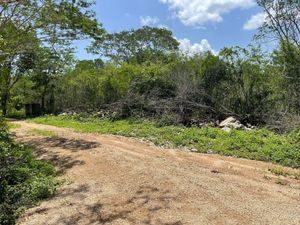 IF4624 VENTA DE TERRENO EN XCUNYA, MÉRIDA YUCATÁN