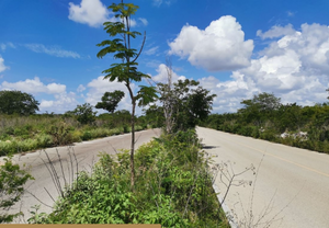 IF4265 VENTA DE TERRENO EN TIXCUYTUN, MÈRIDA YUCATAN