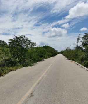 IF4265 VENTA DE TERRENO EN TIXCUYTUN, MÈRIDA YUCATAN