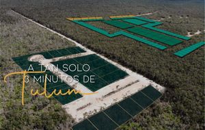 Terreno en Venta en Tulum de Oportunidad con Financiamiento