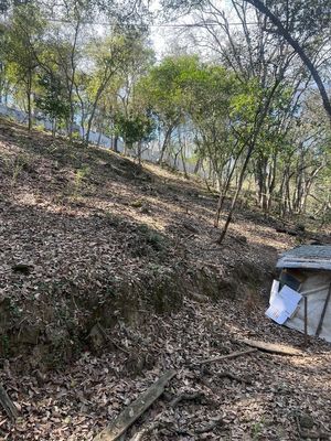 TERRENO EN CARRETERA NACIONAL EN ALLENDE