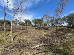 TERRENO EN CARRETERA NACIONAL EN ALLENDE